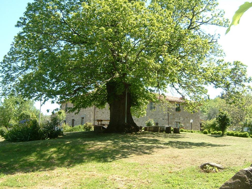 Antico Casale Pozzuolo Vila Seggiano Exterior foto